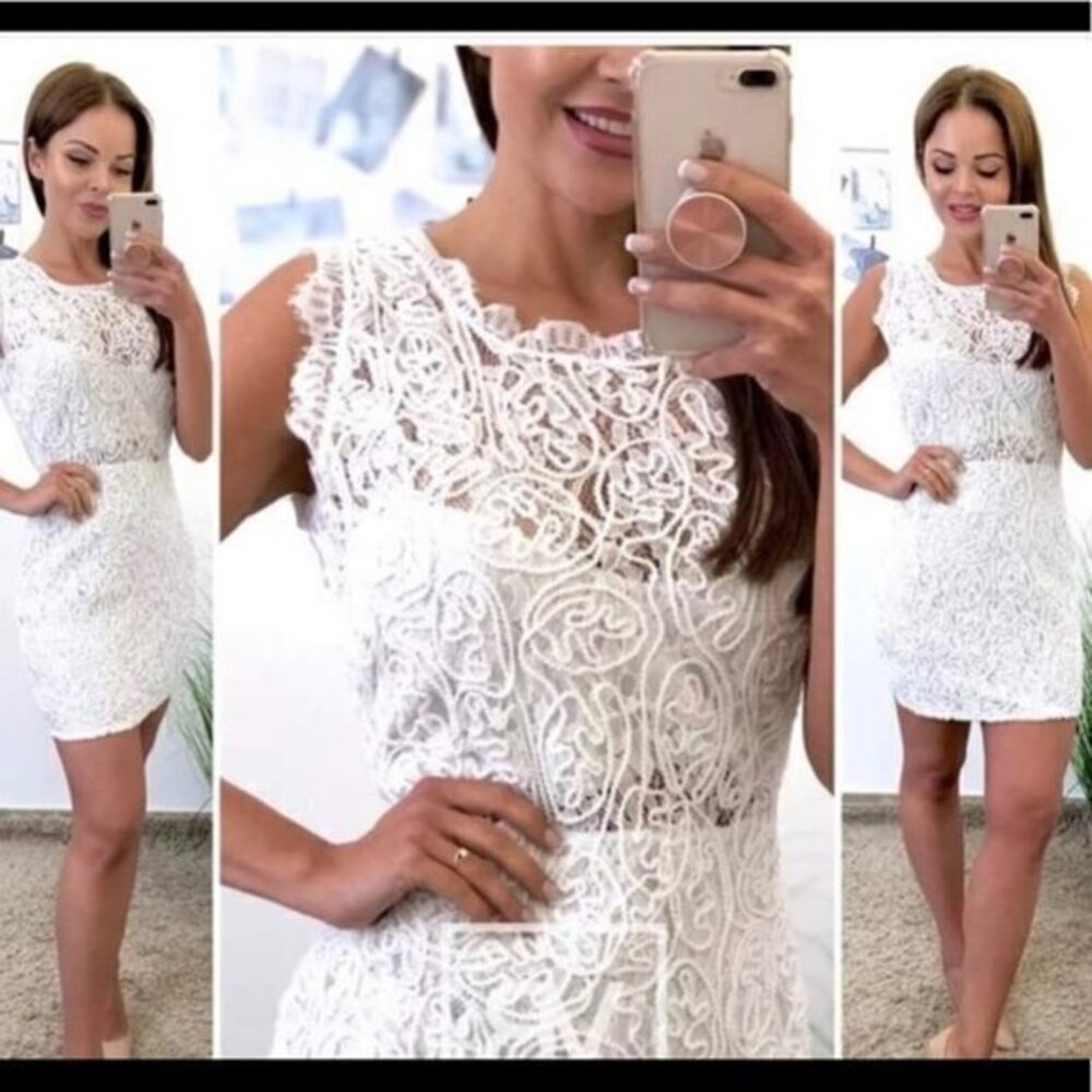 San Souci Lace and Embroidered Dress (c)